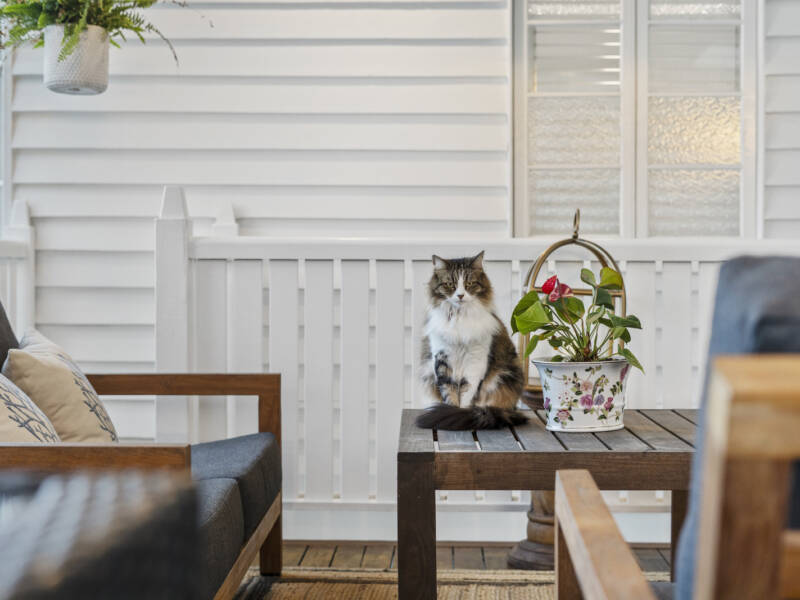 37 Fisher Street, Manly, QLD 4179 AUS